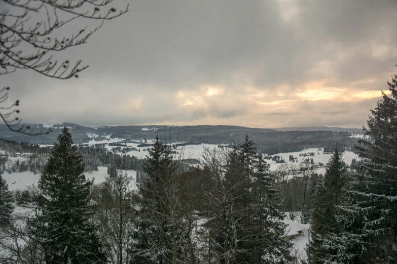 the mountain has many trees on it