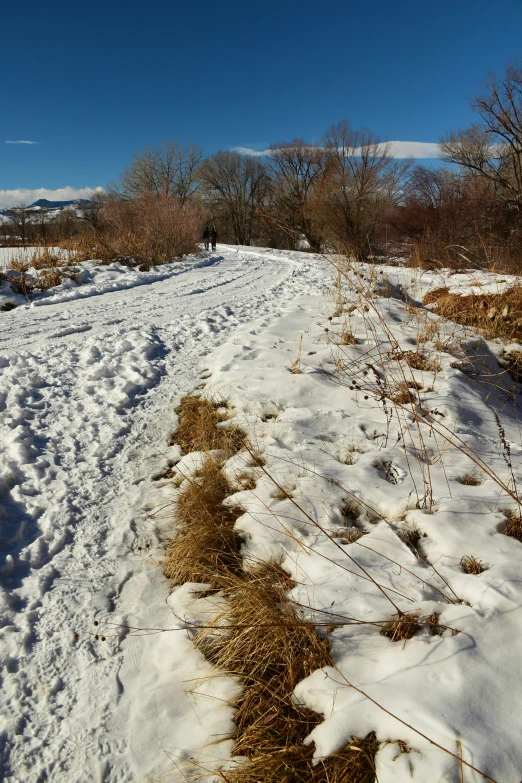 the snowy path to a park is very wide