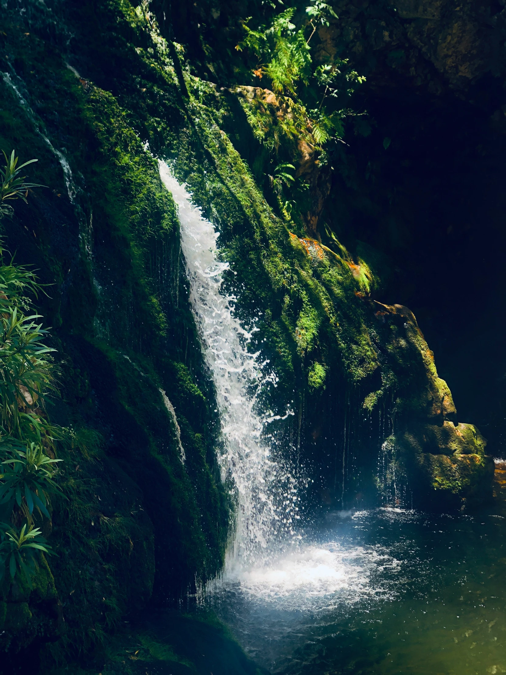 the waterfall is flowing through the dark forest