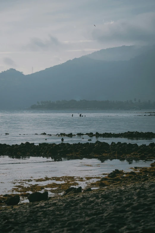 a couple is standing out in the water