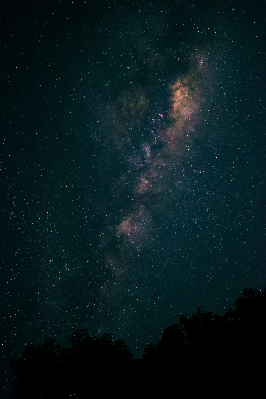 the milky shines brightly against dark skies