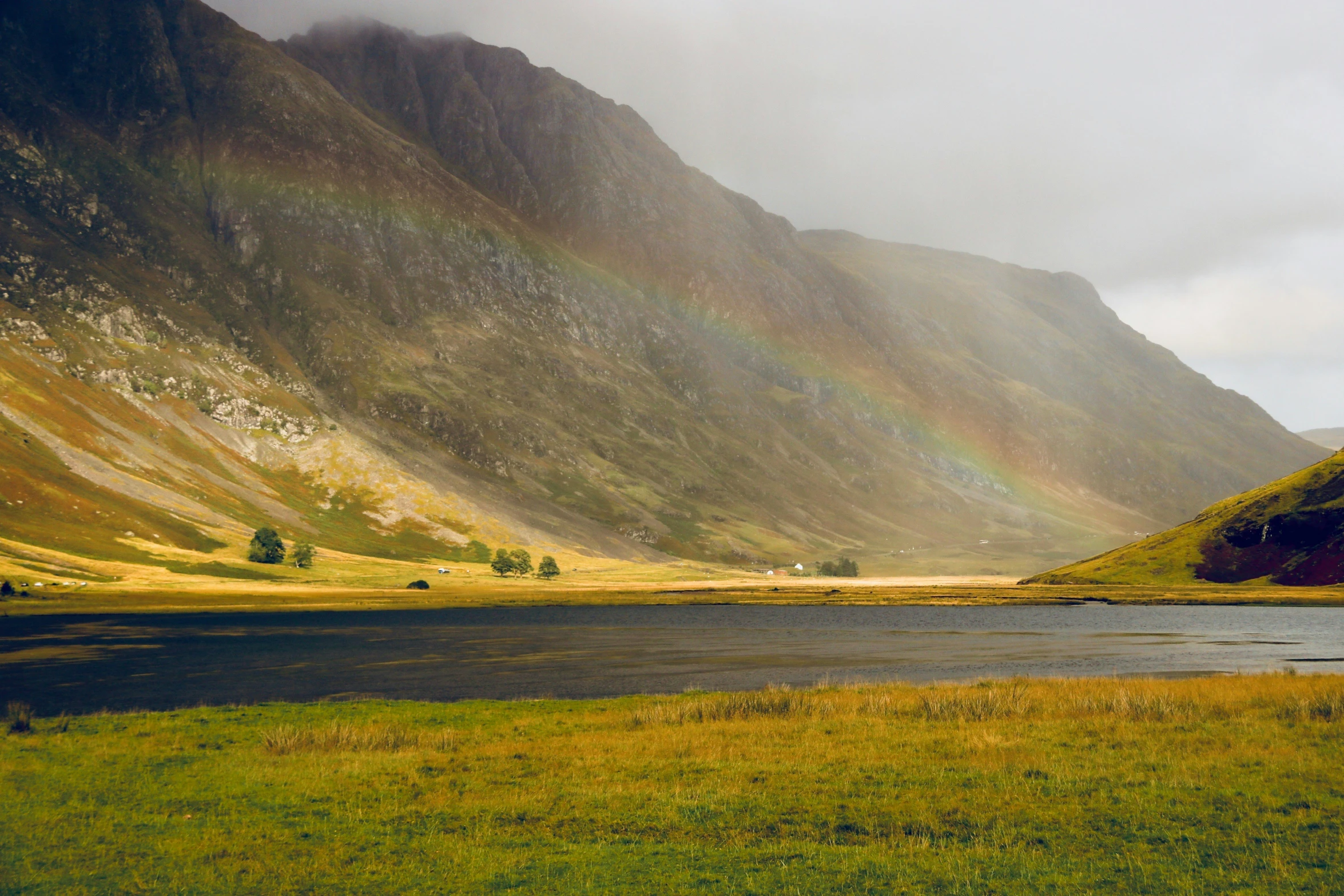 a lake with mountains and green grass in the background