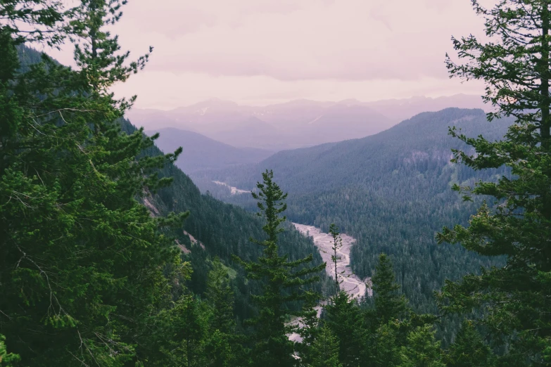 the view from top of a mountain of mountains with trees in the foreground