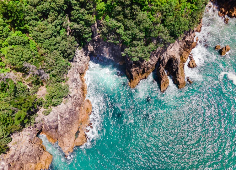 an aerial view of the ocean with waves and trees