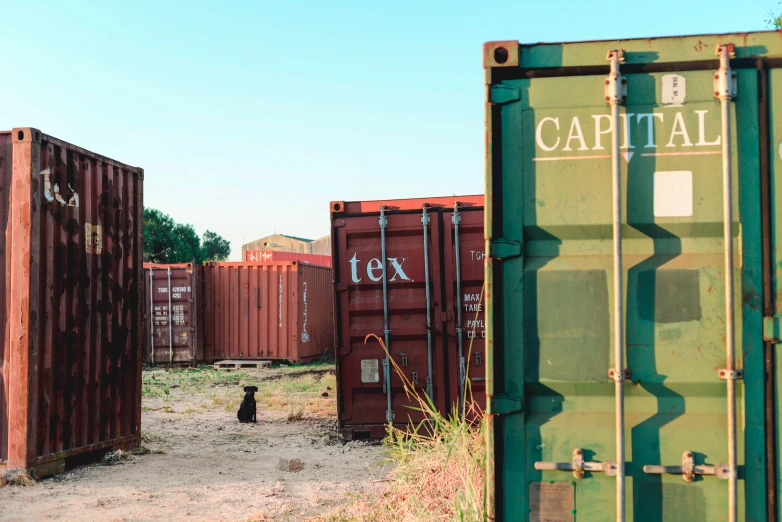 the back side of three cargo containers that have been vandalized