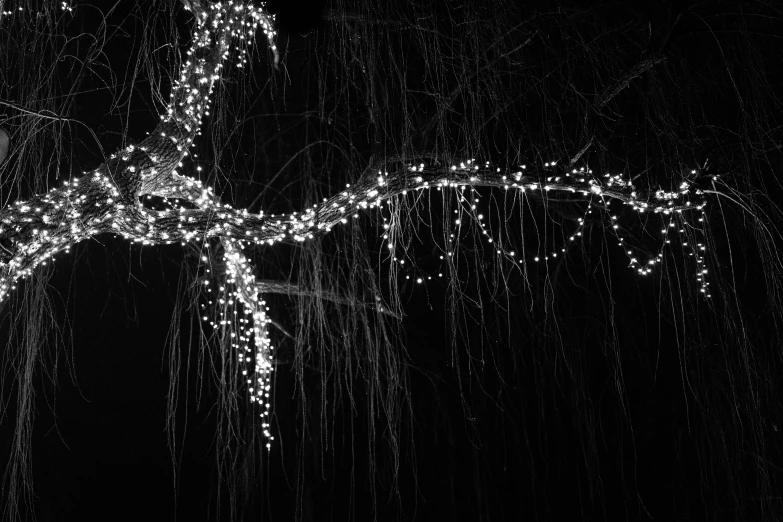 a large tree covered in lights at night