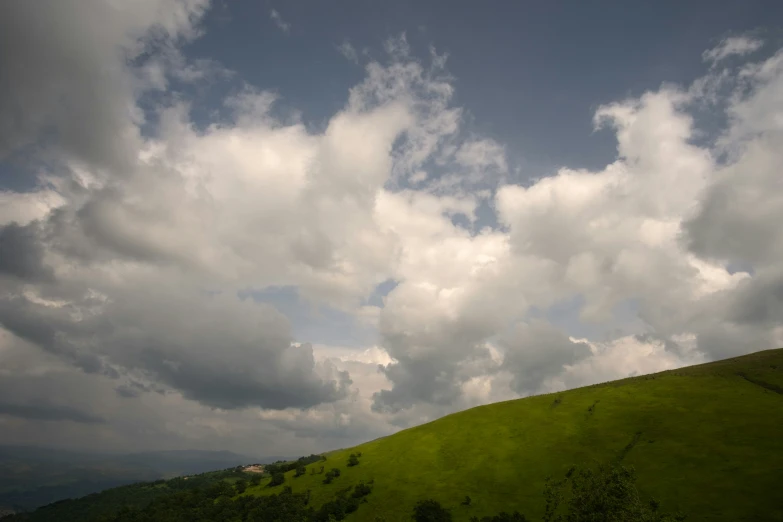 an over head s of green fields and clouds