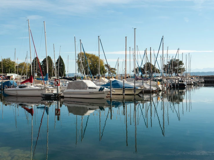 many small boats are parked in the water