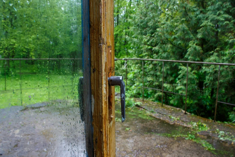 an image of an open door at a wooded area