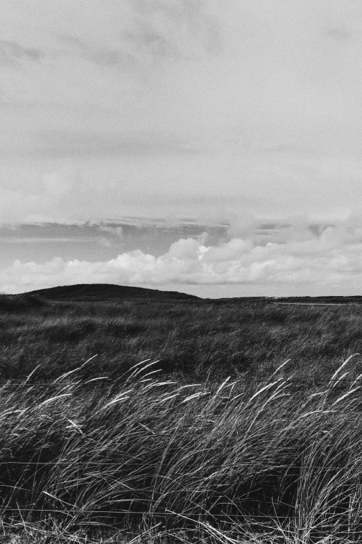 black and white po of some hills with some clouds