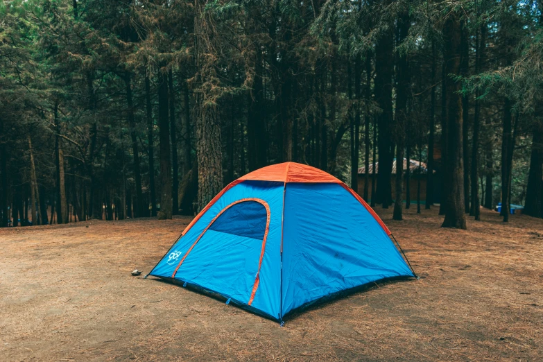a tent in a forest is blue and orange