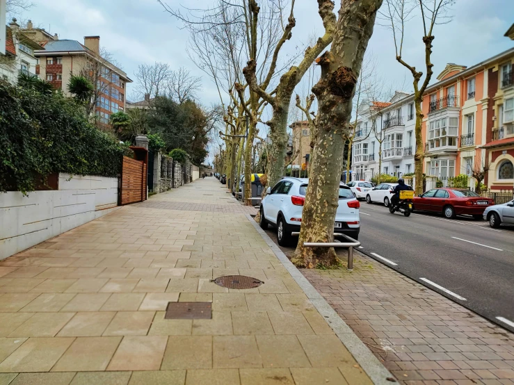 trees line the sidewalk in the city