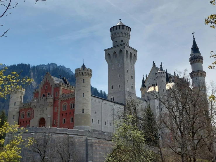 the castle is very tall and ornate and has towers