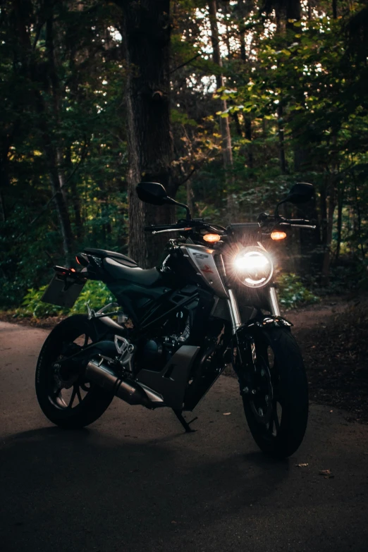 a close up of a motorcycle parked by a tree