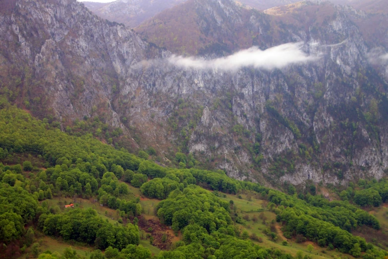 some trees and mountains with clouds hovering in the distance