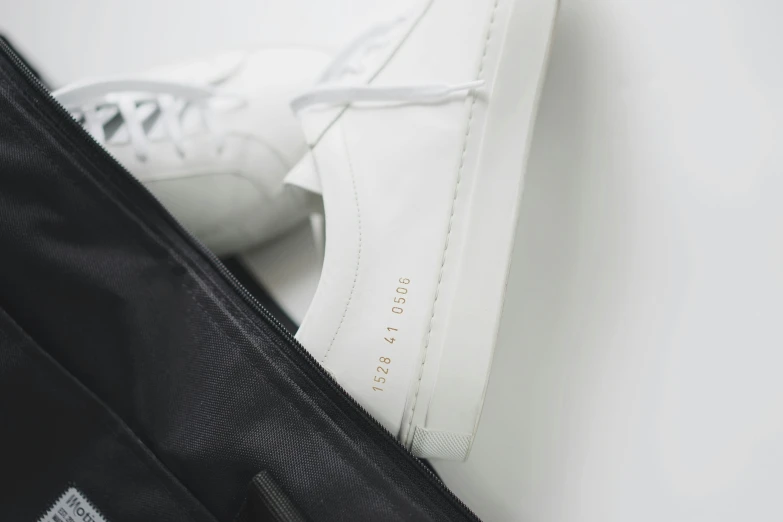 a sneaker and a black and white bag sitting next to each other