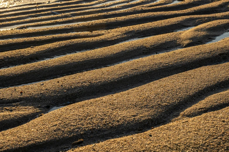 the ground is covered with large dirt patches