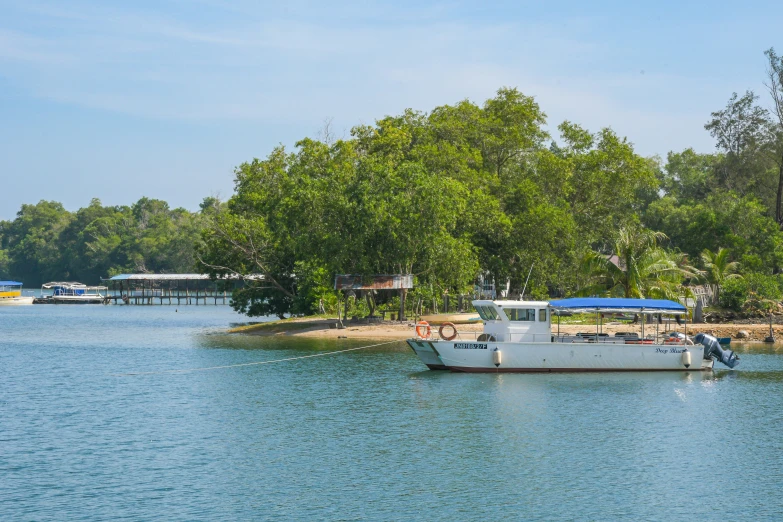 a boat docked along the shore at a lake