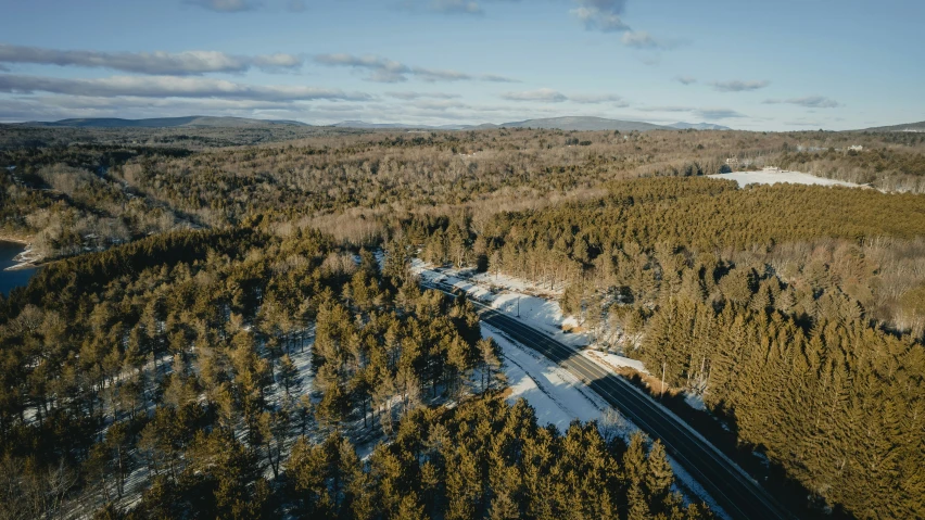 a bird's eye view of a highway between trees