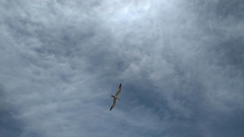 an airplane flying high in the sky under clouds