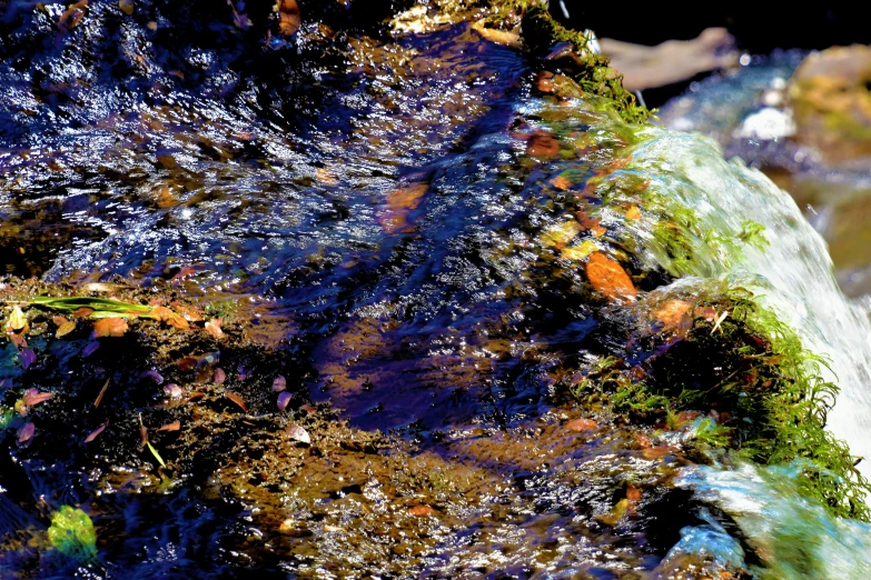 a stream that is running over rocks and mud