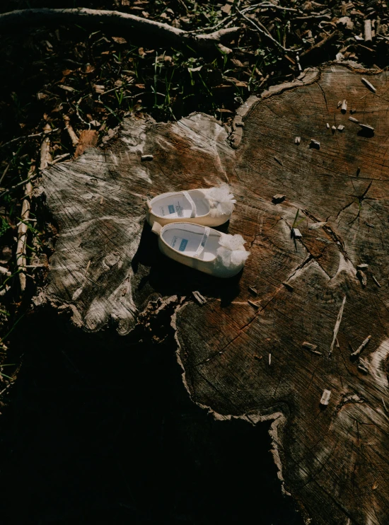 a pair of shoes sitting on top of a tree stump