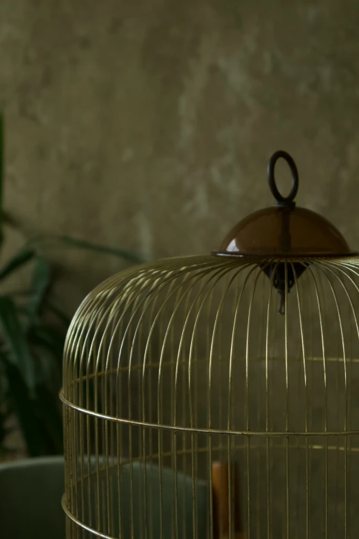 a gold birdcage on a glass table with a plant in the back