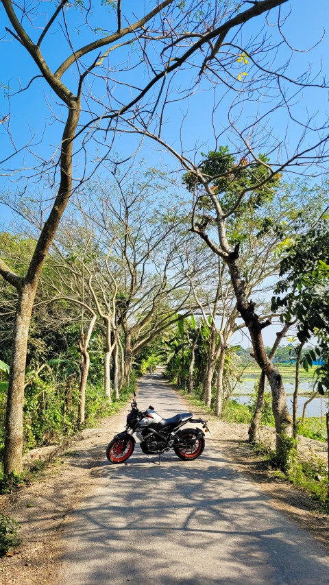 a motorcycle parked on the side of the road next to some trees