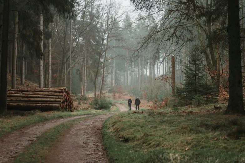 people walk in the rain on a path through a forest
