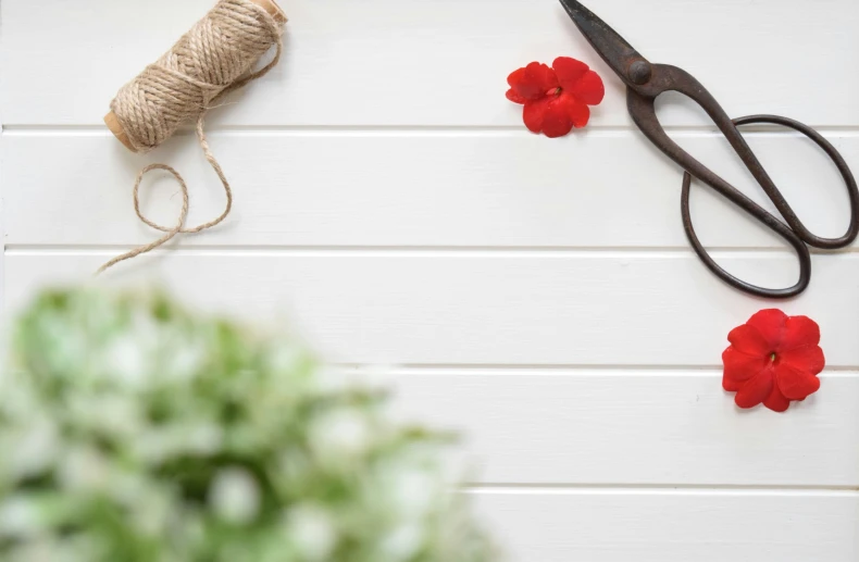 a pair of old scissors, twine and two fake flowers on a white wall