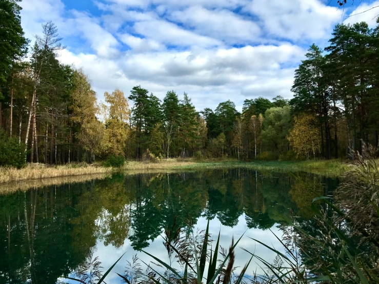 the blue water has many small trees on the shore