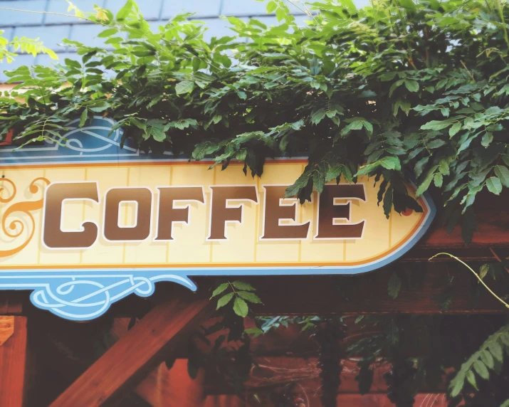 a close up of a wooden sign near some trees