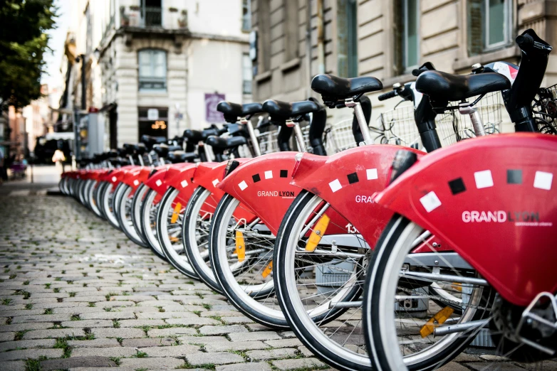 a row of bicycles is parked on the side of the street