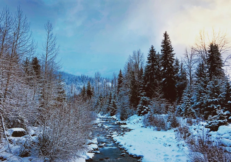 a stream in the forest near a snowy shore