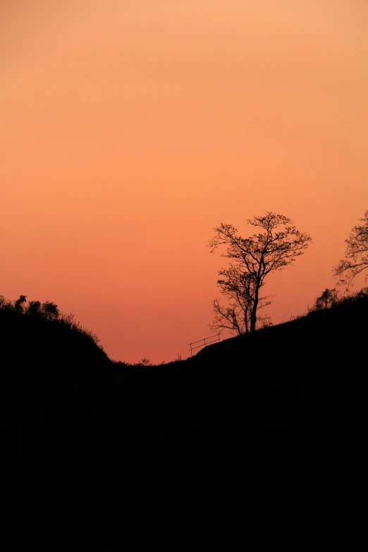 a lone tree sits at the top of a hill at sunset