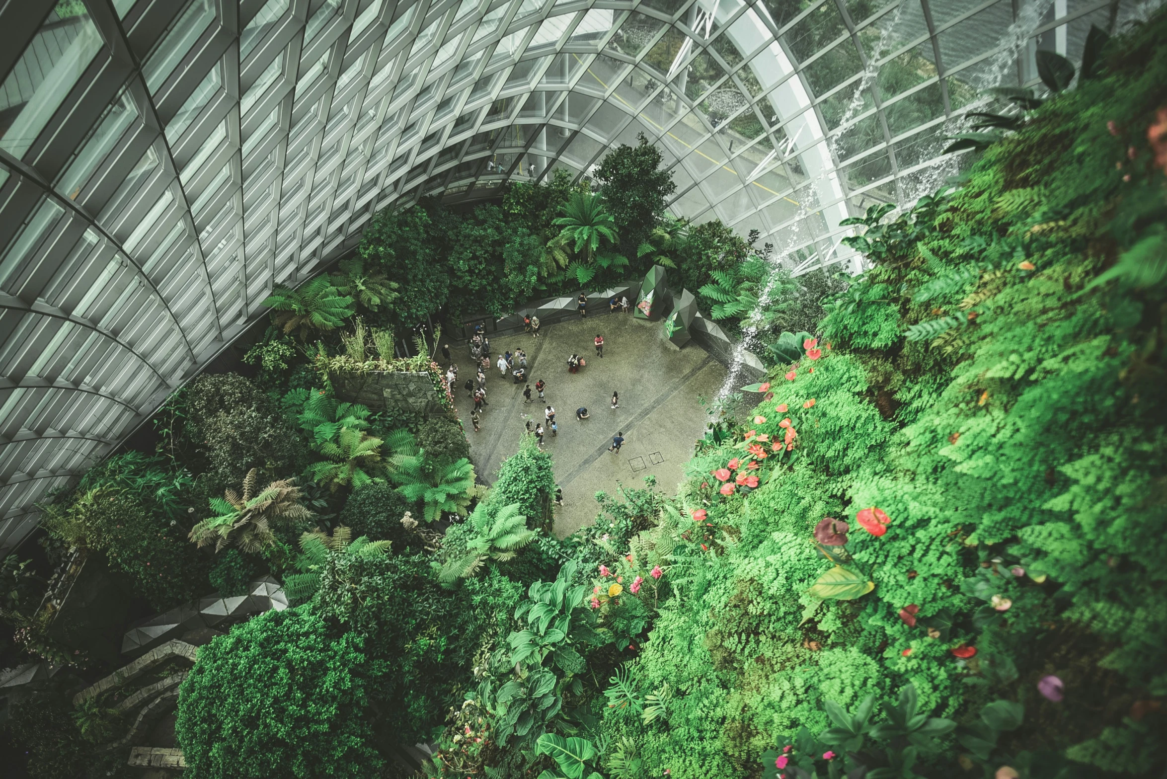 a circular glass room full of plants and animals