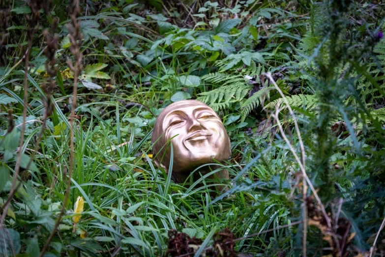 the mask is hiding in a dense garden