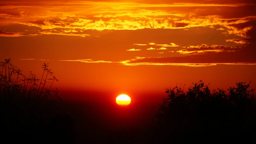 the setting sun rises over some tall grass