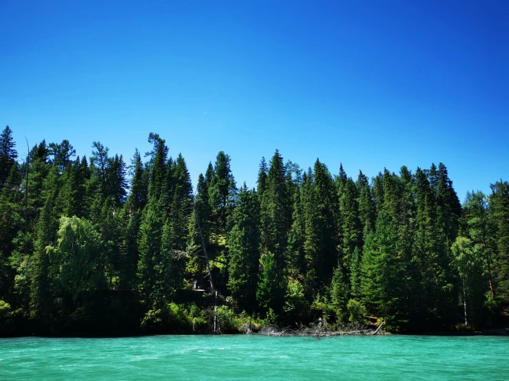 the river is very blue with green water and a lot of trees