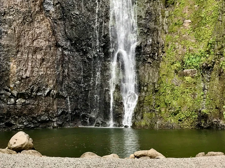 there is a small waterfall surrounded by the forest