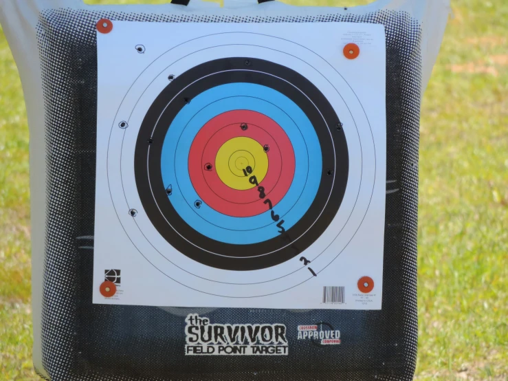 a bag that is holding some type of archery target