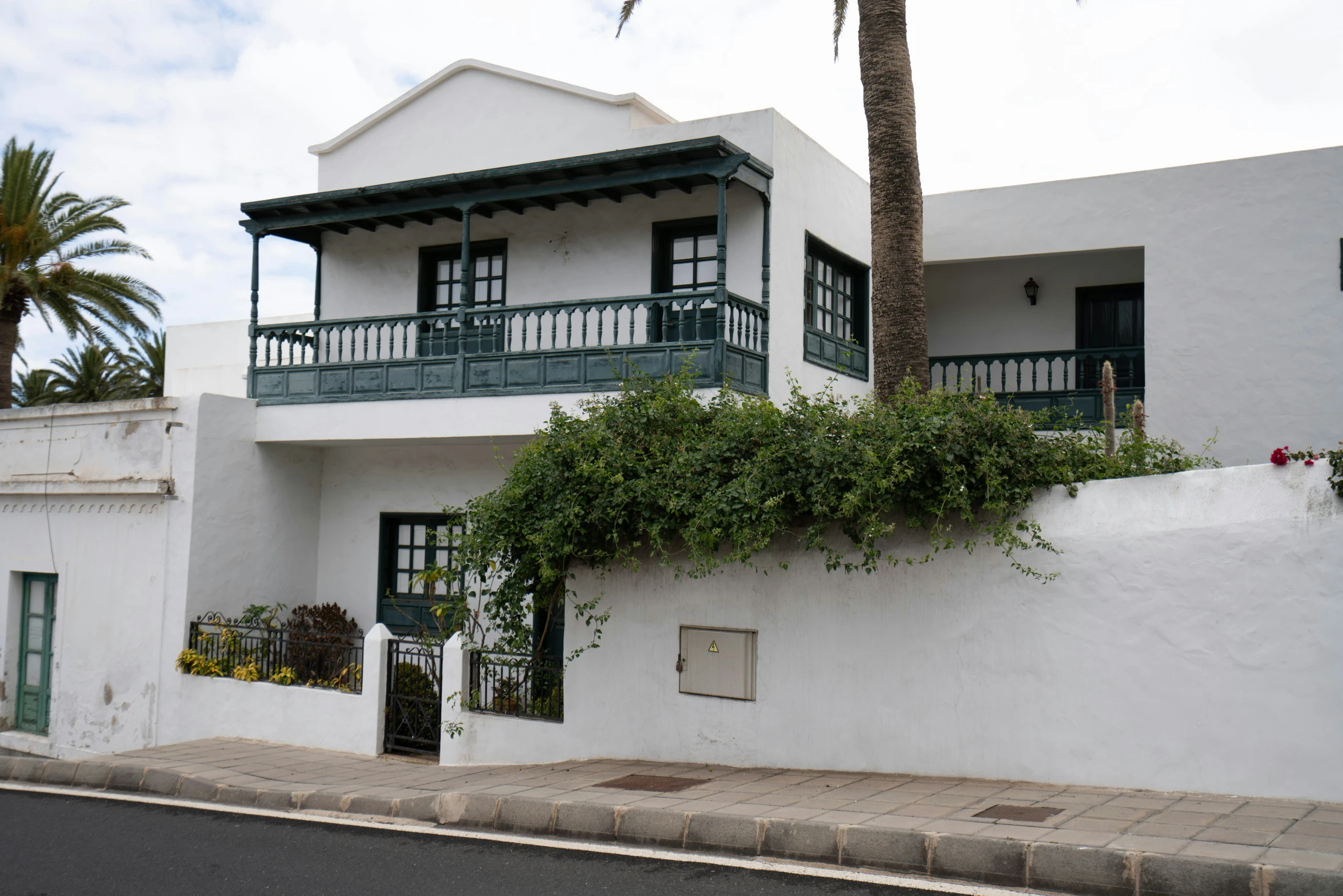 there is a house with plants growing on the side of it