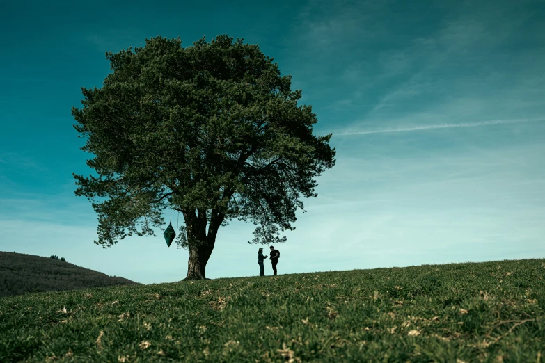 two people under a tree in the mountains under a blue sky