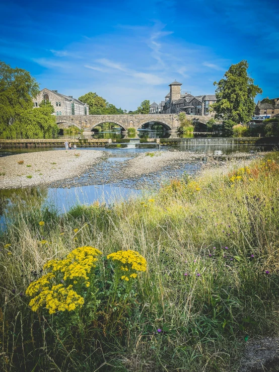 a small river with a view of buildings in the distance