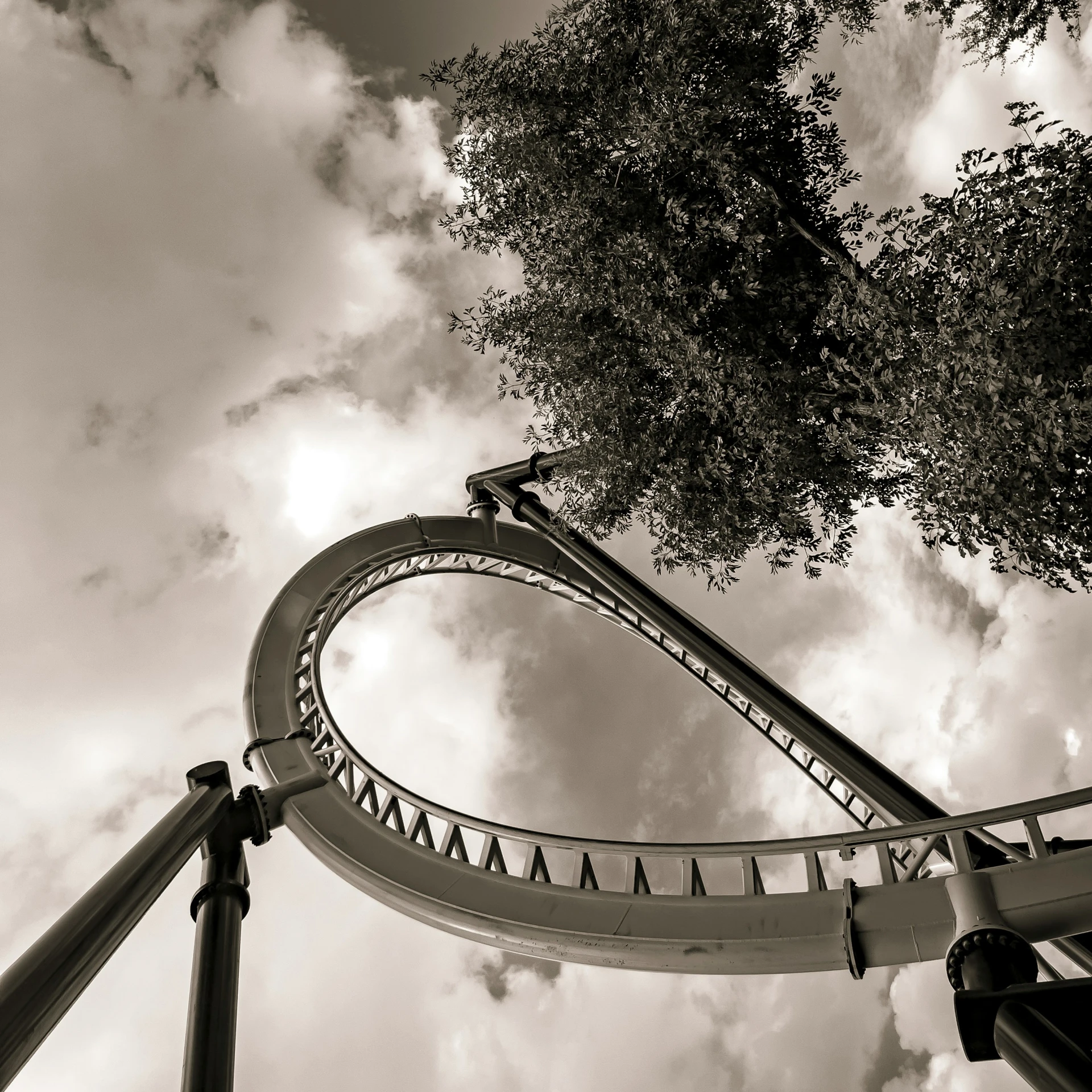 the sign for a amut park looking up in black and white