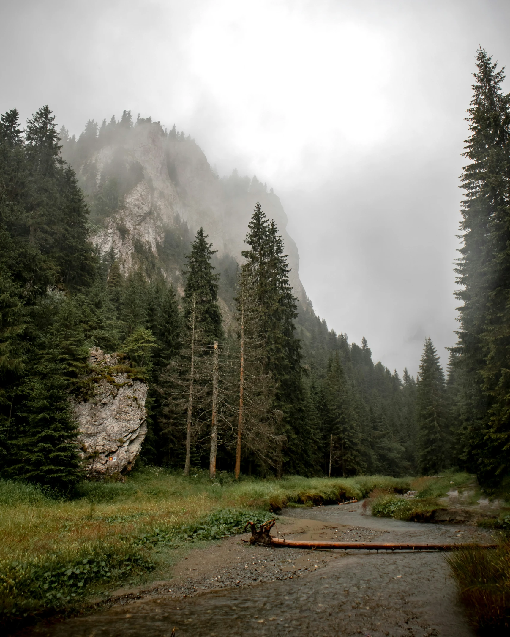 a man fishing in a stream next to mountains