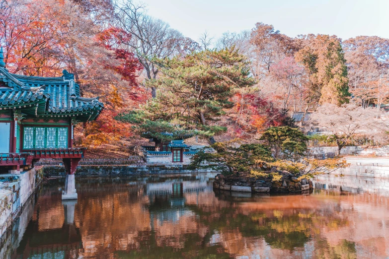 a water view with trees and red leaves