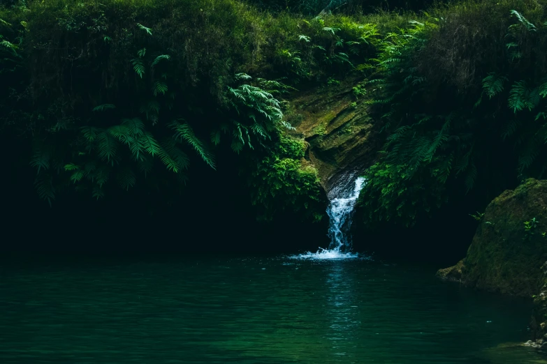a waterfall pouring out water into a lush green forest
