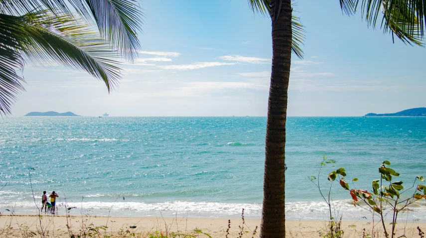 a tropical view of the beach, water and sky