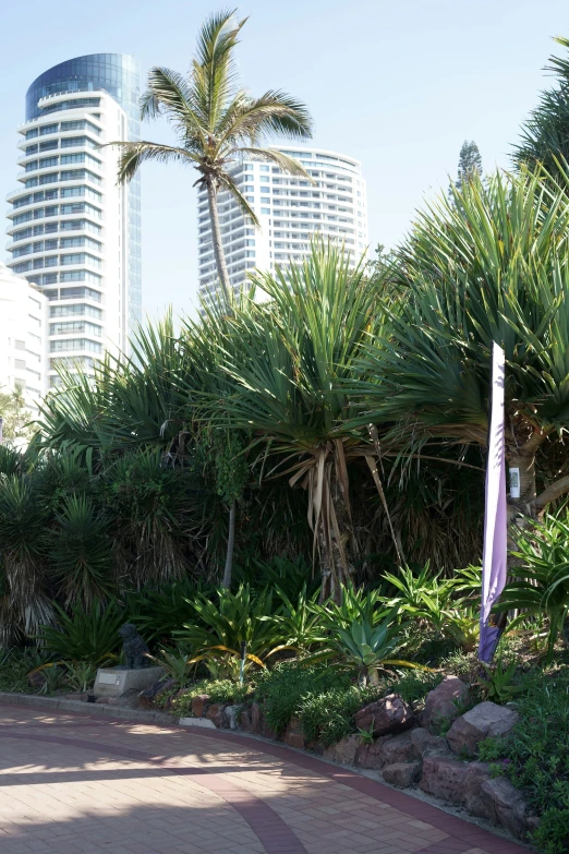 the path leads to some large modern buildings